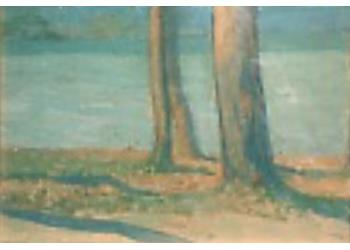 I due alberi I due alberi